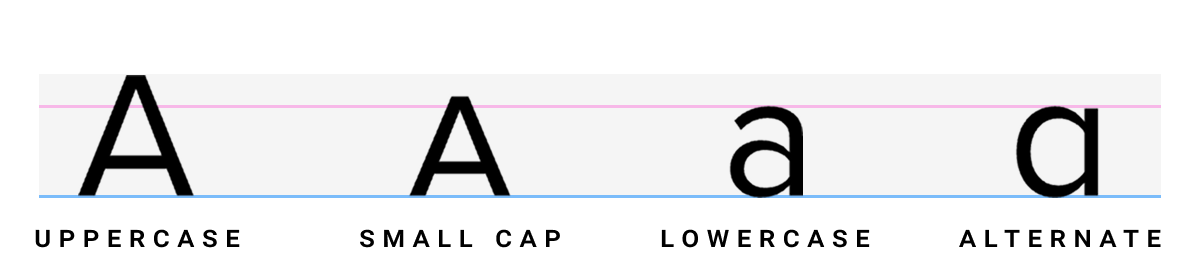 Proxima Nova letter "A" in uppercase, lowercase, small cap and alternate 