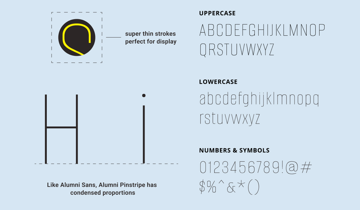 alumni sans pinstripe design details