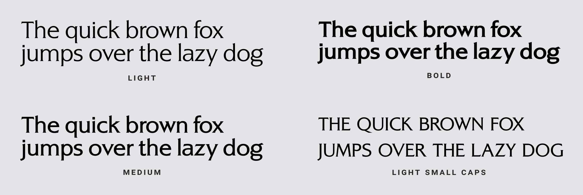 alexon font weights